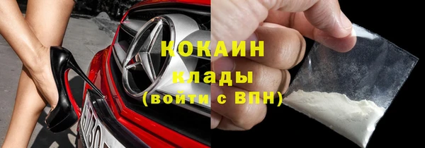 стаф Козельск