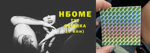 стаф Козельск