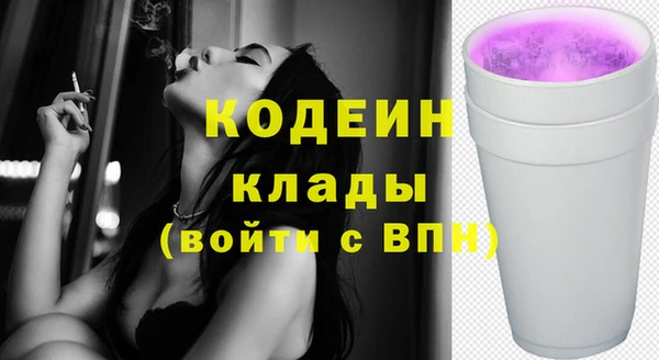 молекула духа Козловка