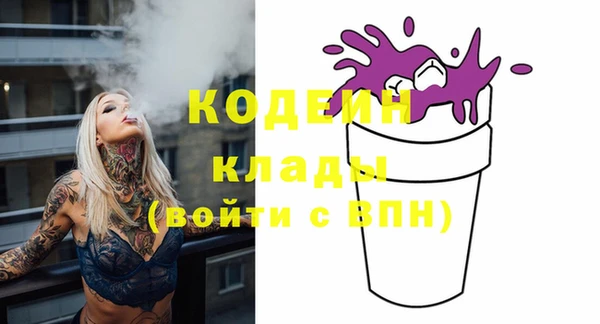 молекула духа Козловка