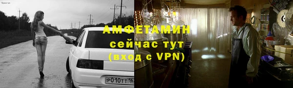 молекула духа Козловка