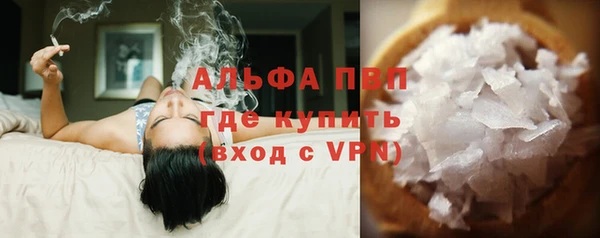 молекула духа Козловка