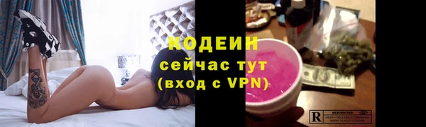 стаф Козельск
