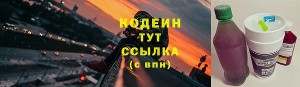 молекула духа Козловка