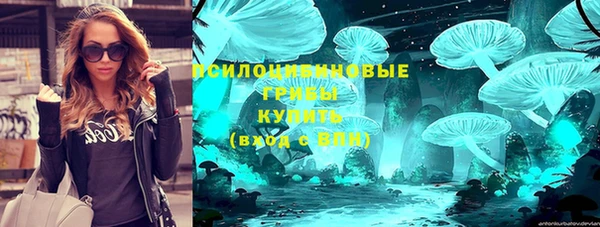стаф Козельск