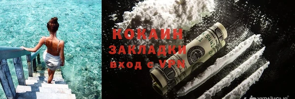молекула духа Козловка