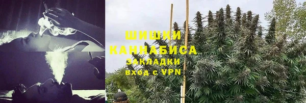 молекула духа Козловка