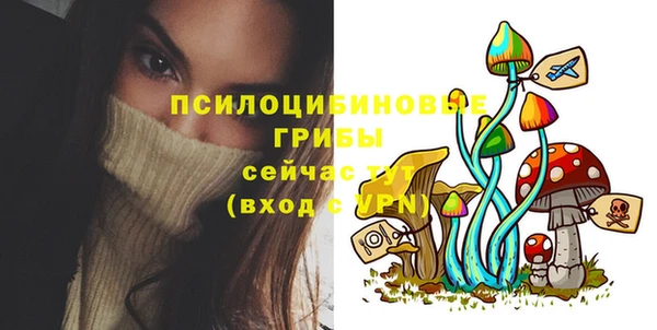 молекула духа Козловка