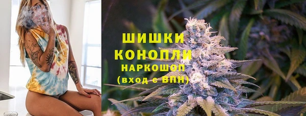 молекула духа Козловка